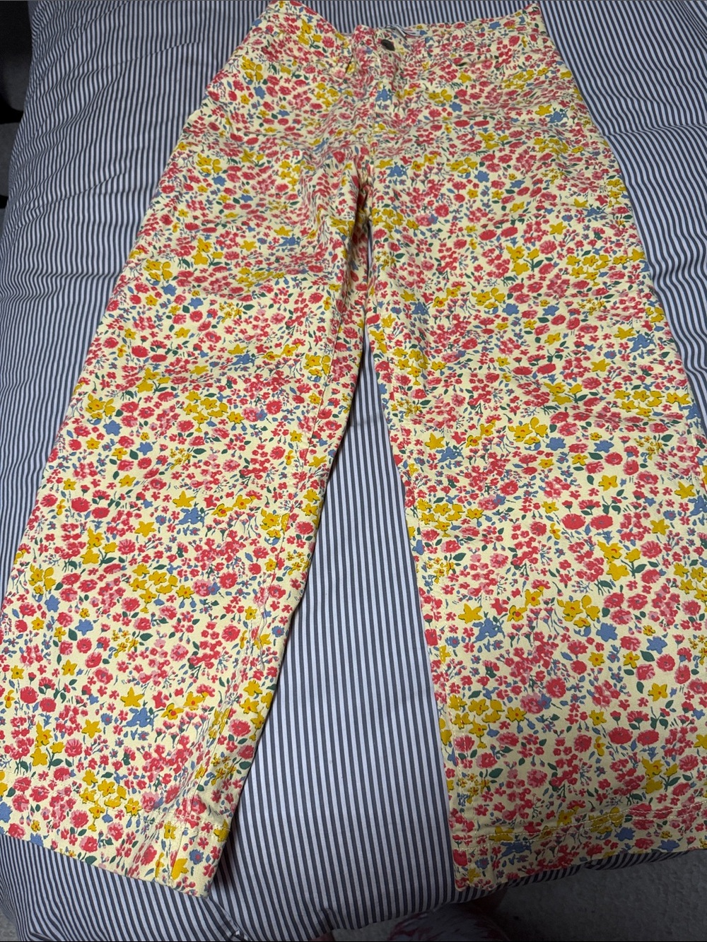 Women’s Toad &co size 4 cropped pants